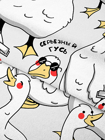 Серьезный гусь 20240 вид 1 с компаньоном 70978 вид 1