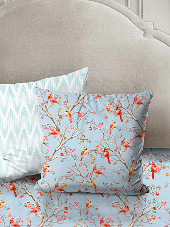 Кардиналы 20016 вид 1 с компаньоном 71226 вид 1