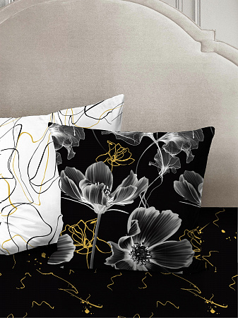 Сияние ночи 20243 вид 1 с компаньоном 20157 вид 3