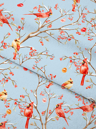 Кардиналы 20016 вид 1 с компаньоном 71226 вид 1