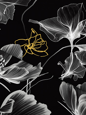 Сияние ночи 20243 вид 1 с компаньоном 20157 вид 3