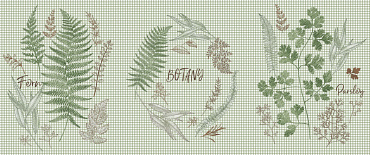 Ботаника (три ручья на клетке) 2313 вид 1