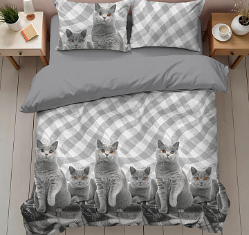 product-photo