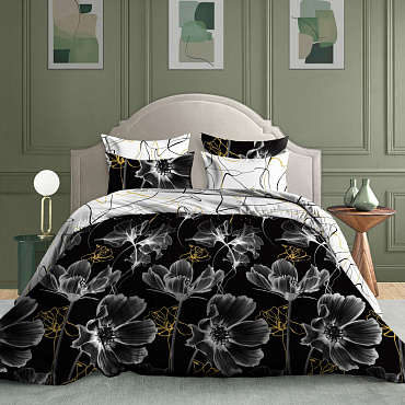 Сияние ночи 20243 вид 1 с компаньоном 20157 вид 3